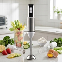 Mixeur Plongeant Électrique à Vitesse Variable Continue, Ensemble Fouet en Acier Inoxydable, Mousseur à Lait, Moteur en Cuivre Pur, Usage Domestique