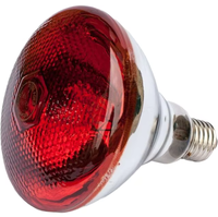 Ampoule chauffante infrarouge durable pour élevage avicole 175W 250W 275W - Lampe chauffante électrique pour poussins et petits animaux