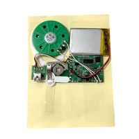 Usine pas cher USB son Module vocal musique IC puce carte de voeux Module sonore Programmable pour cartes d'invitation boîte-cadeau