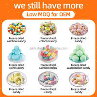 Gefreeze-droogde vruchten, gefreeze-droogde yoghurtblokjes, gemengde gedroogde vruchten, instant snack, bulk gefreeze-droogde Griekse yoghurt