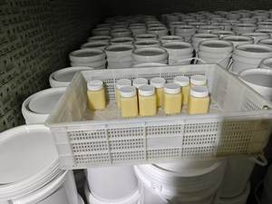 <span class=keywords><strong>Jalea</strong></span> <span class=keywords><strong>Real</strong></span> <span class=keywords><strong>Fresca</strong></span>, Certificada GMP, 100% Natural y Orgánica, Nueva Cosecha, Grado Alimenticio, Suplemento para la Salud, Líquido, Venta al Por Mayor, Alta Calidad - Product Image 6