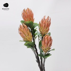 Branche unique roi Protea fleur artificielle longévité fleur décorative pour salon <span class=keywords><strong>mariage</strong></span> paysage fait afrique du sud - Product Image 4