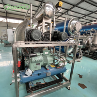 Fabrieksdirecte verkoopprijs Zhucheng: hoogwaardige vriesdroogmachines voor fruit, groenten, durian en banaan.