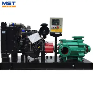 Diesel engine high pressure water pump