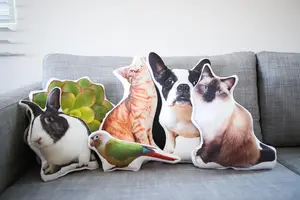 Personalized Photo shaped Pet Pillow Custom Anything Irregular Logo Logo Shaped Pillow Area Custom Pillow