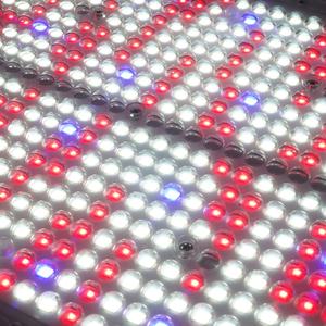 Nouvelles lampes de culture IP67 étanches PPE 2.7 800w avec éclairage supérieur et conception optique secondaire pour les fermes extérieures et la culture de roses - Product Image 3