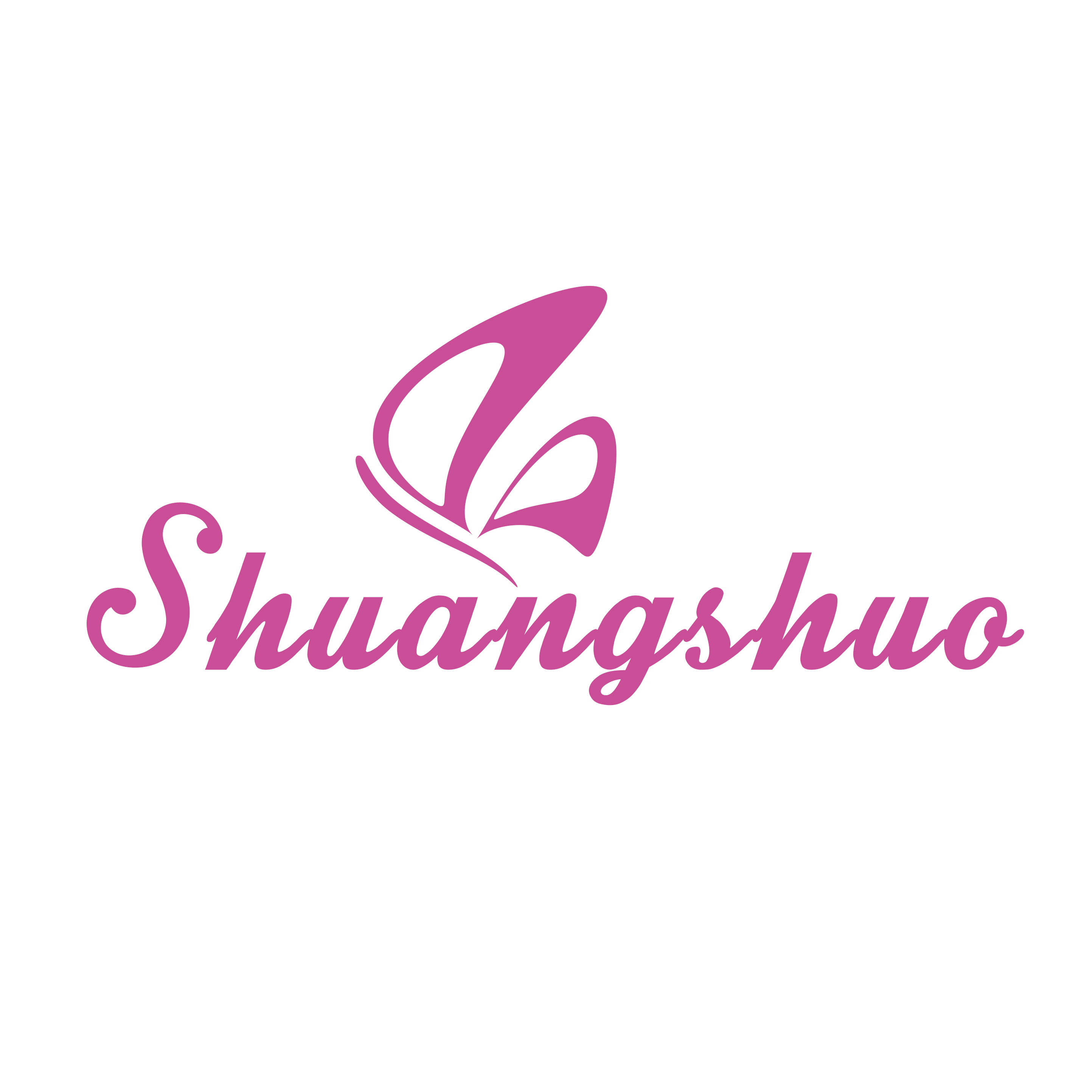 Yiwu Shuangshuo Jewelry Co., Ltd. logo