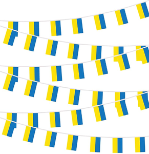 Bandera <span class=keywords><strong>de</strong></span> stock <span class=keywords><strong>de</strong></span> <span class=keywords><strong>Eslovaquia</strong></span>, banderines cuadrados <span class=keywords><strong>de</strong></span> poliéster 100%, banderas colgantes - Product Image 6