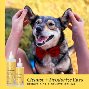 Gouttes de nettoyage des oreilles des acariens pour chiens, soulagement des démangeaisons et des démangeaisons avec logo personnalisé - Product Image 5