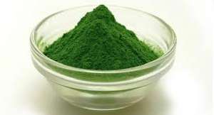 ULVA LACTUCA/Poudre d'algues vertes séchées prix bon marché - Product Image 5