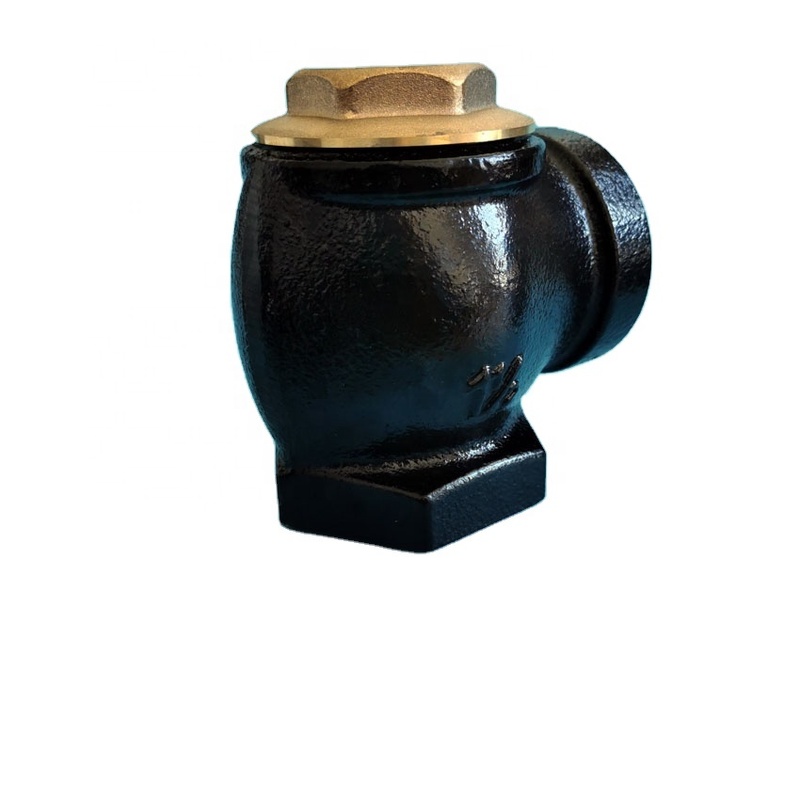 Bernet Flange Type Angel Check Valve