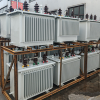 Transformador de Distribución Hermético Sumergido en Aceite Serie S11-11kV