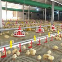 Mangeoire pour poulets de ferme avicole entièrement automatique et système d'abreuvement équipement pour poulailler