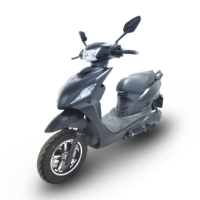 Promotion Professionnelle – Moto Scooter Électrique Intelligent 1000W, Véhicule à Deux Roues avec Batterie au Lithium