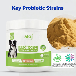 Golosinas Masticables Suaves para Perros OEM con Enzimas Digestivas de Calabaza y Probióticos, Suplemento de Fibra, Cuidado de la Salud y Suplementos para Mascotas - Product Image 5