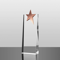Trophée en verre personnalisé avec étoile en métal MH-NJ00353, cadeau souvenir, trophée en verre