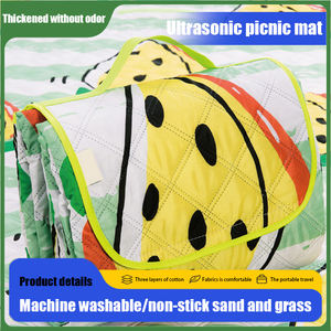 Tapis de Camping surdimensionné imperméable tapis de plage anti-sable pour la famille Camping en plein air fête pique-nique couverture - Product Image 3