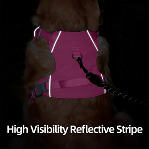 2026 Lightweight Breathable Waterproof Anti-Escape Nylon Wholesale Pet Harness Adjustable Designer Custom <b>Dog</b> <b>Leash</b> Chest Strap - Product Image 4