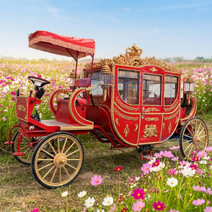 Fabricants de calèches royales : Nouvelles calèches européennes électriques de style victorien en acier, à chevaux, à vendre - Product Image 1