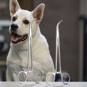 Cjh Zenuw Of Bindweefsel Precisie Controle Thoracale Abdominale Chirurgische Instrumenten Grote Dierenkliniek - Product Image 3