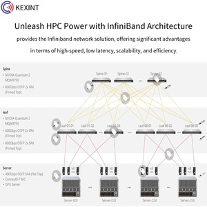 Kexint osfp MA4Z00-NS 800g 2 x SR4/sr8 850nm 50m MPO-12 kép/APC infiniband thu phát quang học mô-đun - Product Image 5
