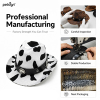 Chapeau de soleil en feutre personnalisable avec logo, motif rayé, style cowboy occidental, pour chien, Halloween, hiver, écologique, toutes saisons