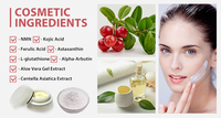 Poudre de niacinamide vitamine B3 blanchissant la peau de qualité cosmétique en gros
