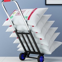 Chariot à main pliable en métal, portable, mobile, pour bagages, courses, livraison, cuisine, salle de bain, usage intensif, logo personnalisé, petit modèle
