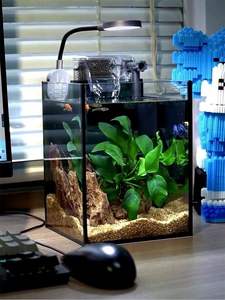 Kit <span class=keywords><strong>Acquario</strong></span> da Scrivania in Vetro Ultra-Trasparente con Filtro, Luce LED, Ecologico, a Risparmio Energetico, Adatto ai Principianti, Tutto in Uno - Product Image 4