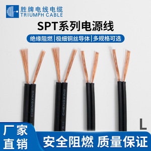 Triumph <b>Cable</b> Spt 1 <b>Power</b> Cord Tinned Double Parallel Wire Pure Copper Black Flat <b>Cable</b> For Electrical Equipment Internal Parts - Product Image 4