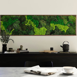 Real Natural Green Preserved Pole <strong>Moss</strong> Pillow <strong>Bun</strong> Cushion <strong>Moss</strong> Frame Art DIY Kit Terrariums Gardening Art Wall Decor - Product Image 6