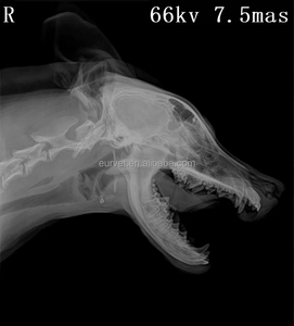 EUR VET taşınabilir kablosuz düz Panel dedektör X ışını makinesi düz Panel dedektör - Product Image 6