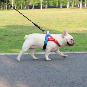 Nuovo Modello di Guinzaglio per Cani con Pettorina e Cinturino Posteriore, Cinghia in Tessuto Più Larga, Patching Abbinato nel Colore, Non Irritante - Product Image 4