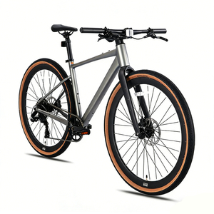 Fabricante OEM/ODM de Bicicletas de Estrada Gravel com Guidão Reto Aro 700C, Garfo de Carbono em Liga de Alumínio, 10 Velocidades – Design e Logotipo Personalizados Aceitos - Product Image 1