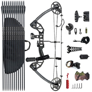Tir à l'<span class=keywords><strong>arc</strong></span> <span class=keywords><strong>arc</strong></span> à poulies et flèche haute qualité chasse en plein air tir adultes Composite Triangle <span class=keywords><strong>poulie</strong></span> <span class=keywords><strong>arc</strong></span> et flèche ensemble - Product Image 1