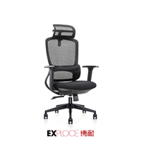Chaise de bureau ergonomique avec support lombaire meilleure chaise d'ordinateur chaise de bureau de patron à dossier haut