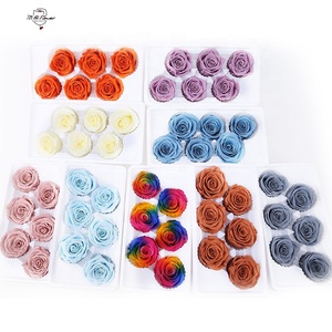 5-6cm Preserved Rose Rainbow Artificial Rose Flower Head Preserved Long Lasting Roses Mom Box