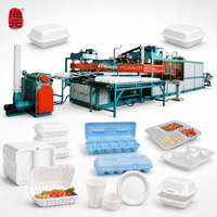 Machine de fabrication de contenants alimentaires en mousse PS, ligne de thermoformage sous vide automatique, équipement de production de boîtes à lunch jetables