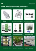 Tour de culture verticale intérieure automatique pour tomates et ananas, système aéroponique Zip Grow Tower avec pompe et éclairage de culture
