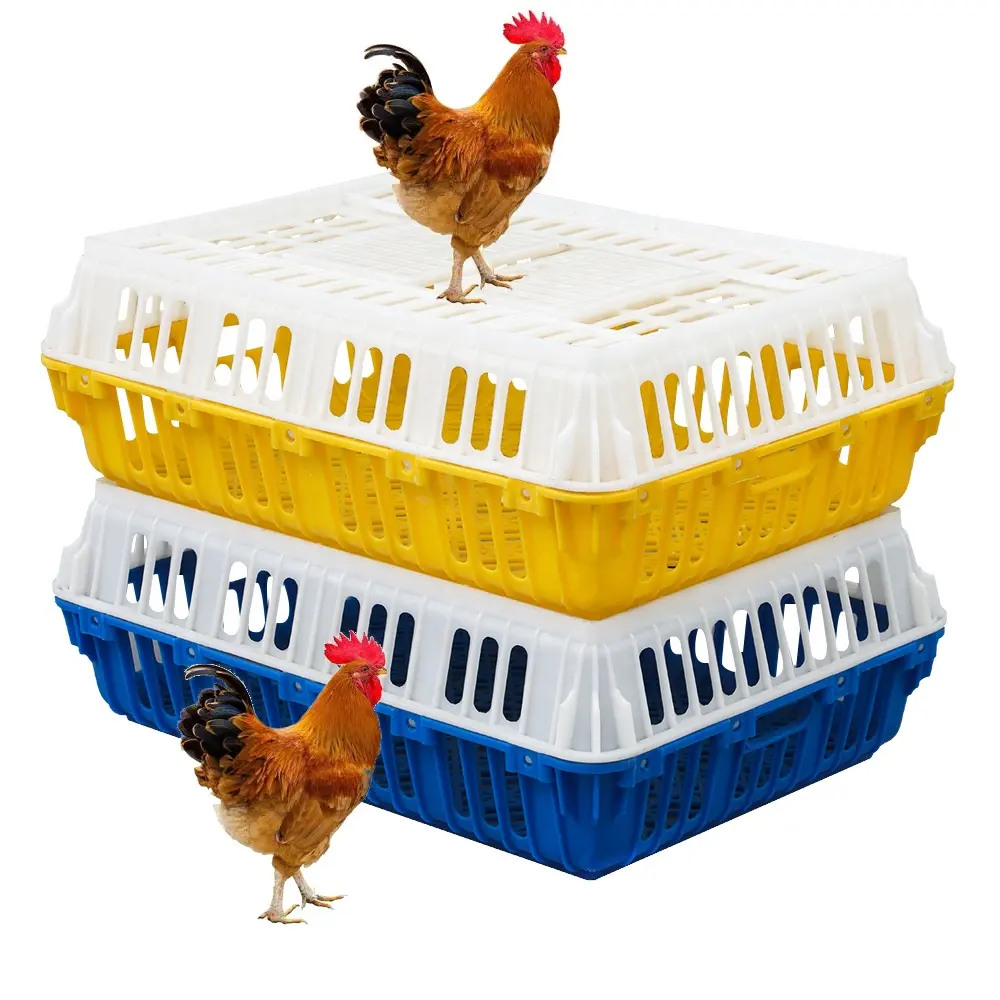 Penggunaan Harian Pertanian Virgin Hdpe Kotak Buka Pintu Atas Ayam Broiler untuk Pengiriman Unggas