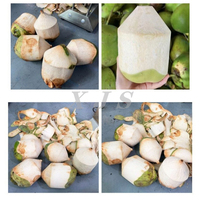 Machine à peler les noix de coco à haute efficacité, équipement industriel de découpe des noix de coco pour ligne de production d'eau de coco
