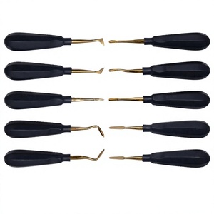 Instruments dentaires : Ensemble de 10 élévateurs de luxation et de levage pour dents, incluant barres transversales Coupland et élévateurs droits Cryer, en acier inoxydable - Product Image 1