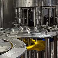 Machine de remplissage automatique de bouteilles en plastique PET à pompe mécanique de haute précision pour l'eau, entraînement par engrenages, PLC, haute productivité