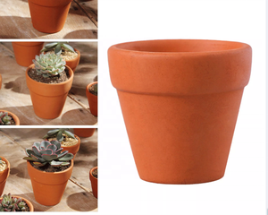 Mini pot à cactus en terre cuite avec trou de drainage, pots à succulentes en argile pour plantes d'intérieur et d'extérieur, pour une utilisation en jardin comme pot à fleurs - Product Image 2