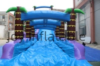 Mini Park Shark Tente Commerciale Professionnelle Gonflable, Château Gonflable Personnalisable en Taille et Couleur, Matériau PVC 0,55 mm pour Fête au Bord de la Piscine