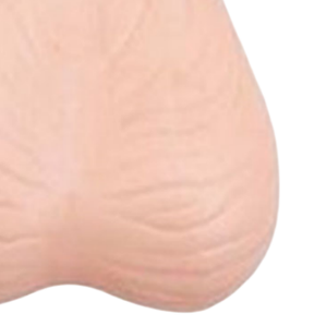 ADA ciencia médica alta calidad PVC broncoendoscopio examen testicular modelo estructura anatómica vívida para anatomía - Product Image 6