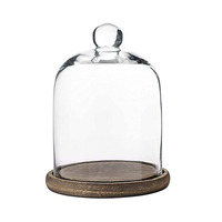 Cloche en verre Cloche Dôme avec plateau en bois de bambou Pièce maîtresse décorative DIY Cloche en verre de table Cloche Dôme en vente