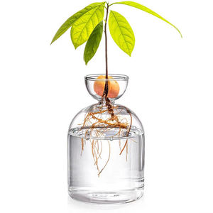Hot Sale Flower Vases Avocado Tree <strong>Growing</strong> <strong>Kit</strong> Flower Pot Glass Bulb Vase for Home Table Desk Indoor Decor - Product Image 5