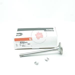 3803518 Válvula de Admisión de Motor Original K19 K38 K50, Nueva y Original, Venta al Por Mayor 3803518 - Product Image 1