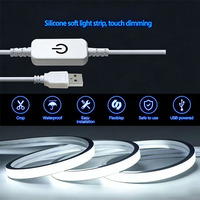 Lampe néon USB 5V à intensité variable, bande flexible avec capteur tactile, éclairage néon LED, bande lumineuse d'ambiance, rétroéclairage de chambre, décoration DIY